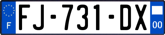 FJ-731-DX