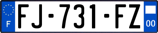 FJ-731-FZ
