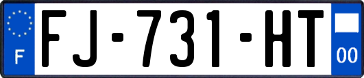 FJ-731-HT