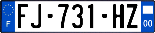 FJ-731-HZ