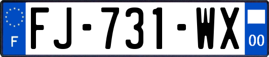 FJ-731-WX