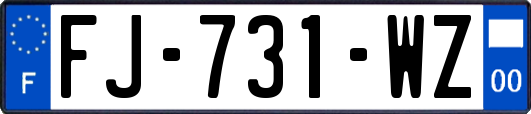 FJ-731-WZ