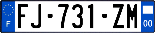 FJ-731-ZM
