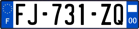 FJ-731-ZQ