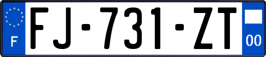 FJ-731-ZT