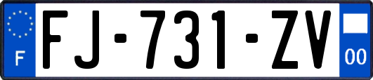 FJ-731-ZV