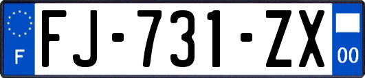 FJ-731-ZX