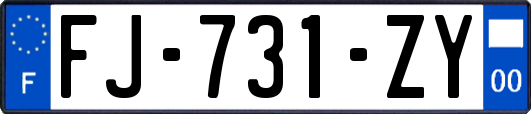 FJ-731-ZY