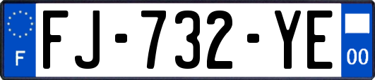 FJ-732-YE