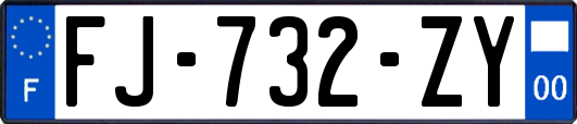 FJ-732-ZY