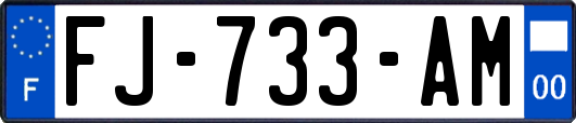 FJ-733-AM