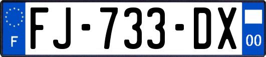 FJ-733-DX