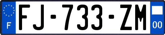 FJ-733-ZM