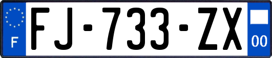 FJ-733-ZX