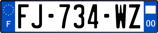 FJ-734-WZ