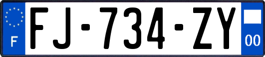 FJ-734-ZY