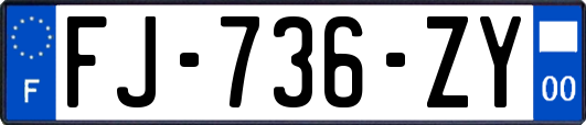 FJ-736-ZY