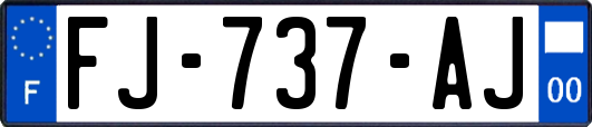 FJ-737-AJ