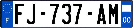 FJ-737-AM