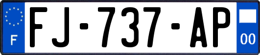 FJ-737-AP