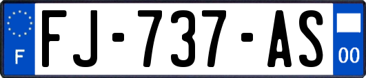 FJ-737-AS