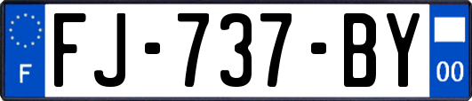 FJ-737-BY