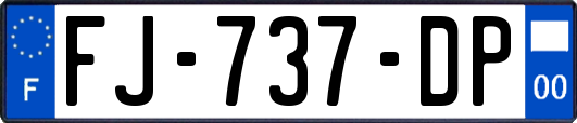 FJ-737-DP