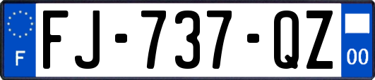 FJ-737-QZ