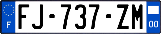 FJ-737-ZM