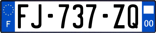 FJ-737-ZQ