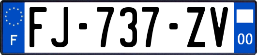 FJ-737-ZV