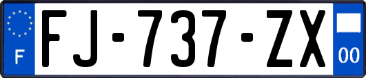 FJ-737-ZX