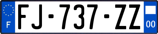 FJ-737-ZZ