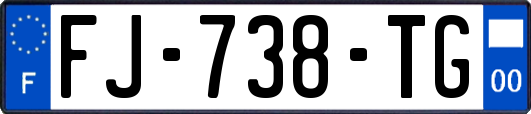 FJ-738-TG