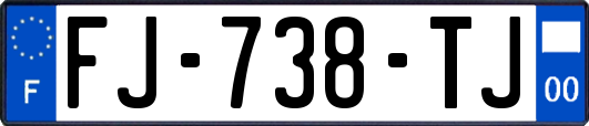 FJ-738-TJ