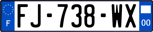 FJ-738-WX