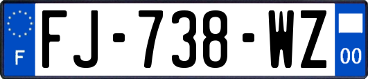 FJ-738-WZ