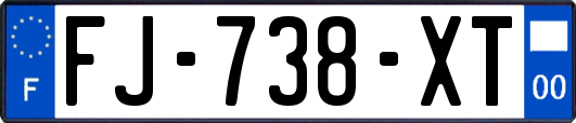 FJ-738-XT