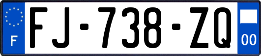 FJ-738-ZQ