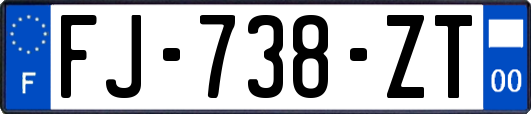 FJ-738-ZT