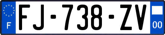 FJ-738-ZV