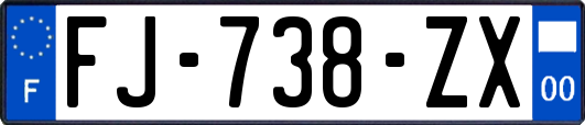 FJ-738-ZX