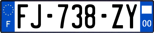 FJ-738-ZY