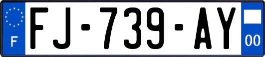 FJ-739-AY