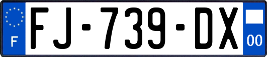 FJ-739-DX