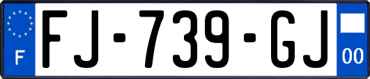 FJ-739-GJ