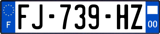 FJ-739-HZ