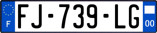 FJ-739-LG