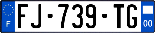 FJ-739-TG