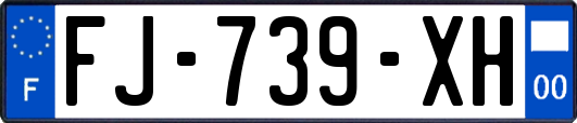 FJ-739-XH